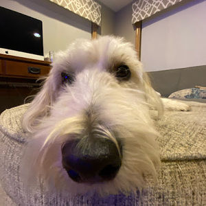 Meet your Posher, Danielle